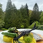 Bel Air Trail & Wellness Echternach