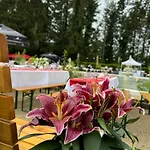 Hotel Bel Air Trail & Wellness 4*