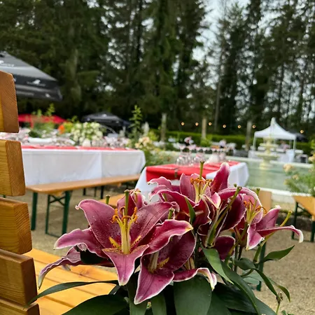 호텔 Bel Air Trail & Wellness 4*