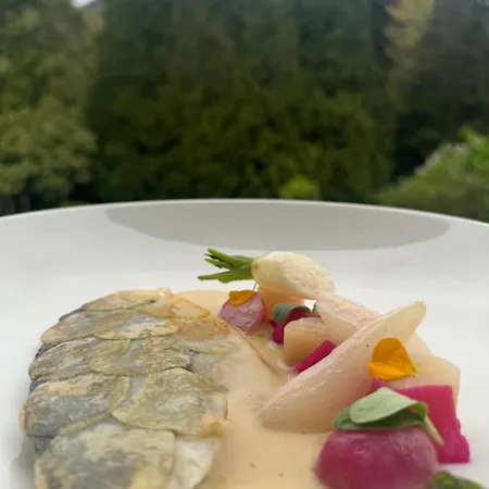 Bel Air Trail & Wellness 4* Echternach