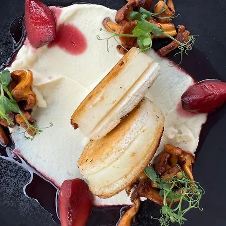 Bel Air Trail & Wellness