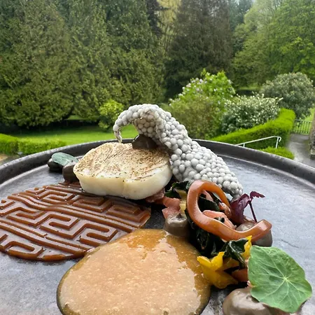 Bel Air Trail & Wellness