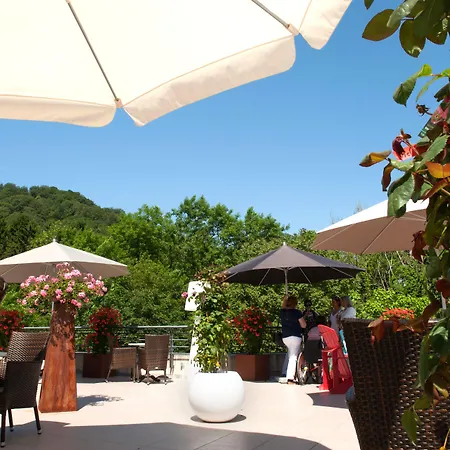 Bel Air Trail & Wellness