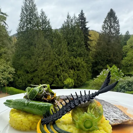 Bel Air Trail & Wellness Echternach