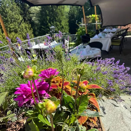 Hotel Bel Air Trail & Wellness 4*