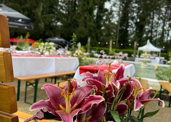 Otel Bel Air Trail & Wellness 4*