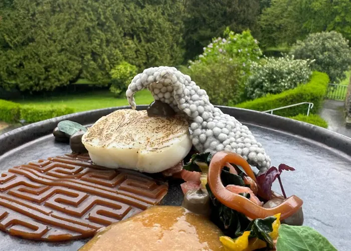 Bel Air Trail & Wellness