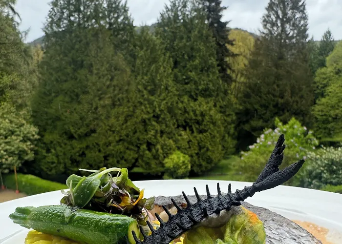 Bel Air Trail & Wellness Echternach