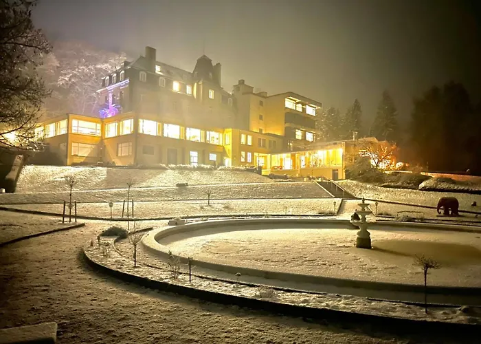 Bel Air Trail & Wellness